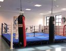 Neujahrsempfang des Berliner Boxsports (22.02.2020)